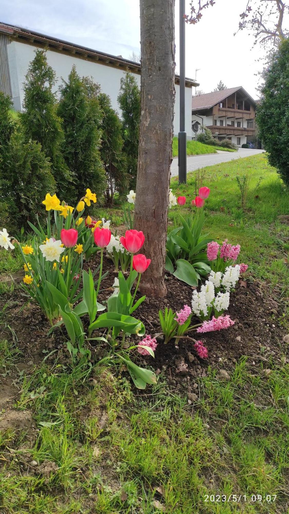 Ferienhaus Am Bach Achslach Luaran gambar